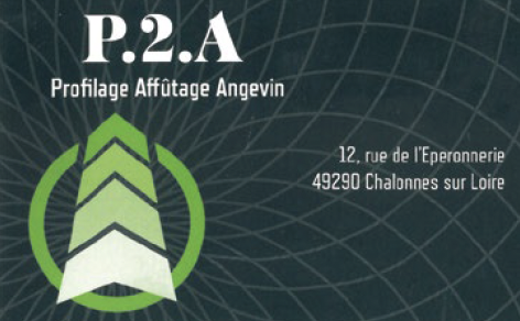 P2A PROFILAGE